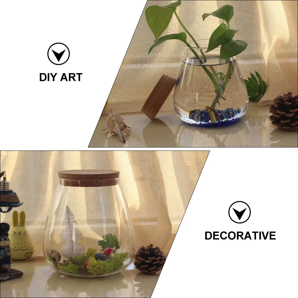 Bocaux de Terrarium en Verre avec Bouchon de Liège