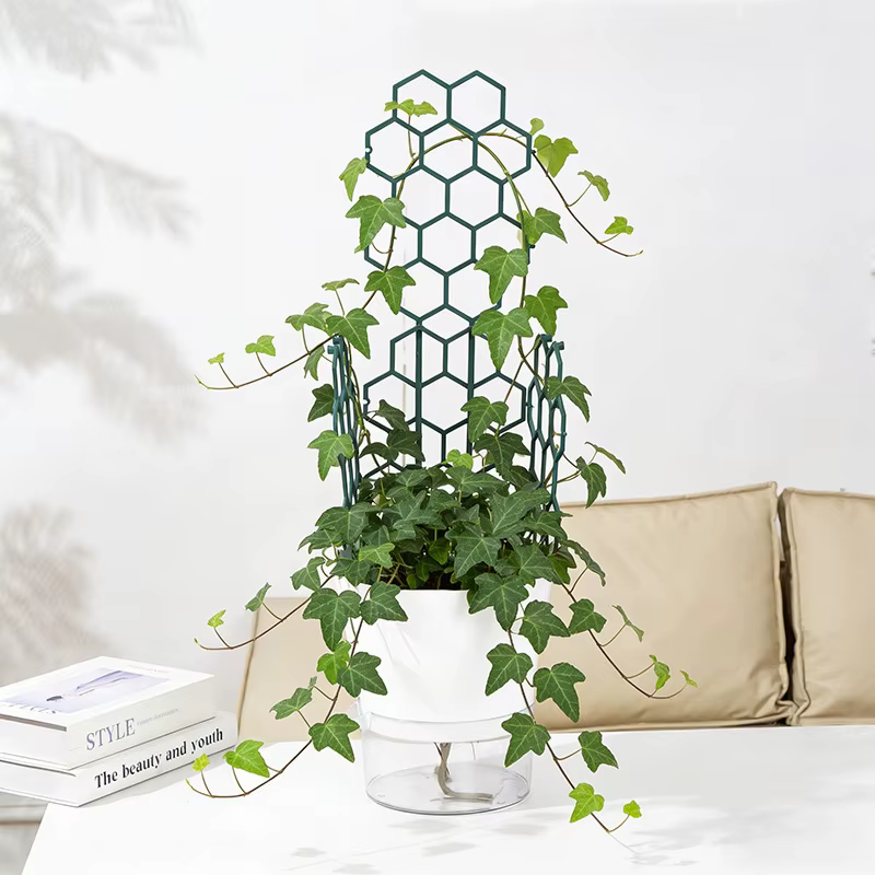 Treillis pour plantes grimpantes