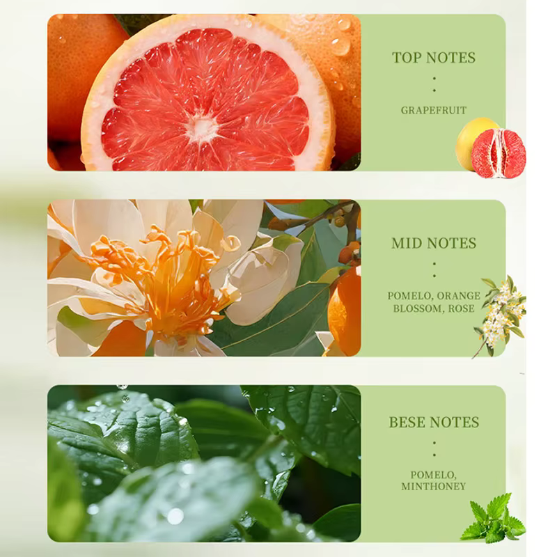 Parfum aux notes de pomelo et agrumes, brume parfumée fraîche et nette pour femme, fragrance fruitée Fougère, senteur Pamplemousse/Fleur d'Oranger/Rose/Menthe/Miel