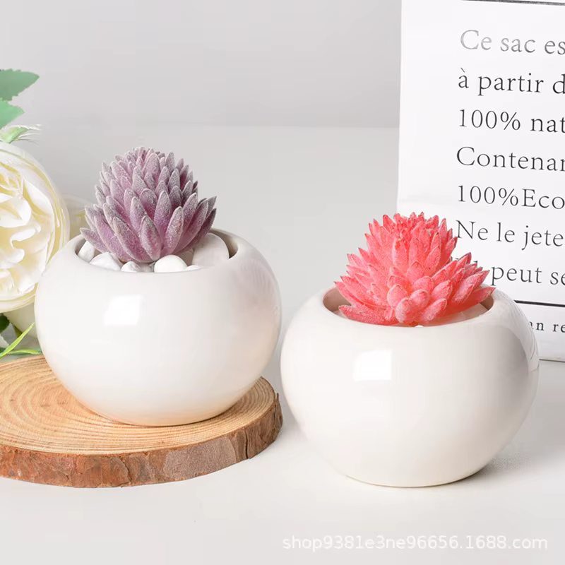 Petit pot rond en céramique pour plantes succulentes