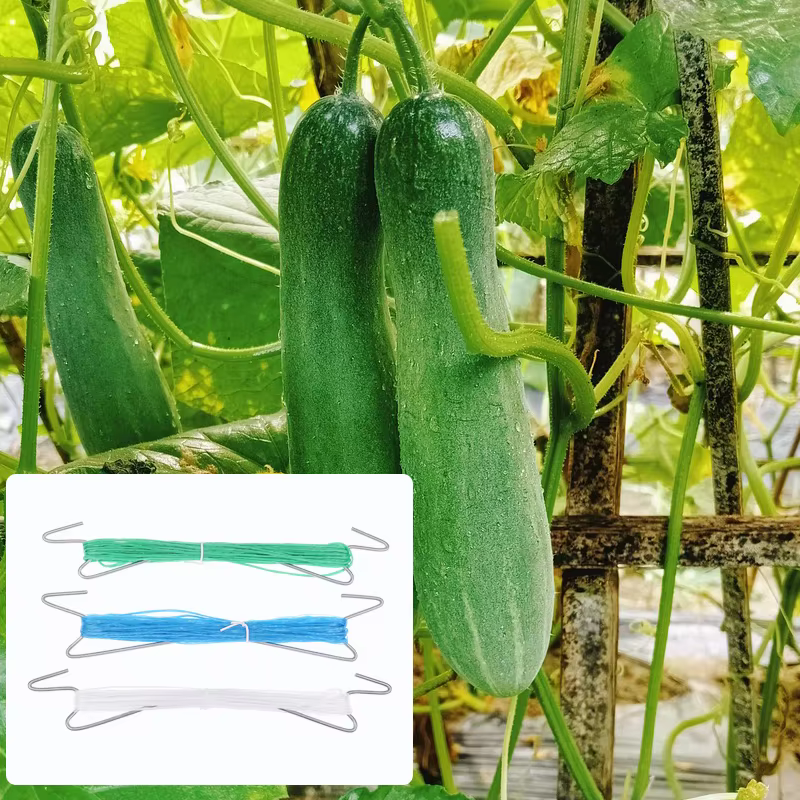 Lot de 10 crochets de fixation pour plantes avec corde de 10 m + 20