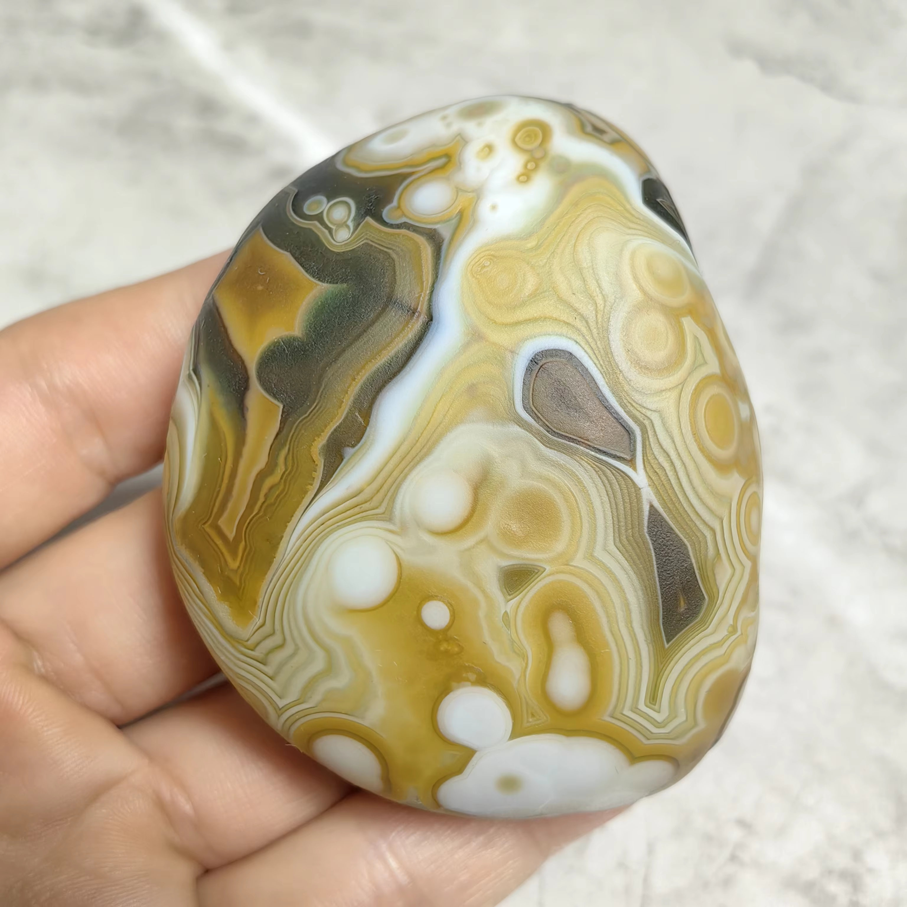  Pierres de palmier en agate naturelle pure, agate œil de chat, agate œil de fleur, pierres brutes, accessoires de décoration intérieure, bijoux et décoration DIY