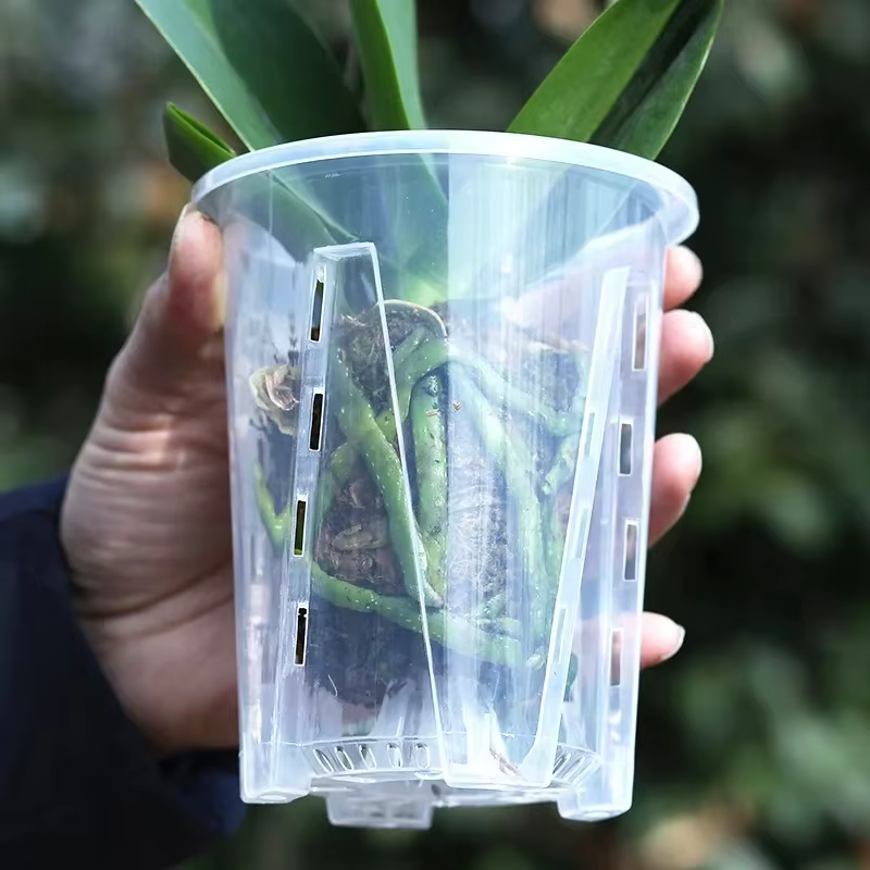 Pots à orchidées en plastique transparent avec trous de drainage pour la plantation d'orchidées papillon
