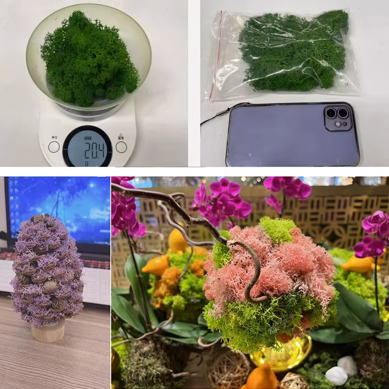 Plante Verte Artificielle de Qualité