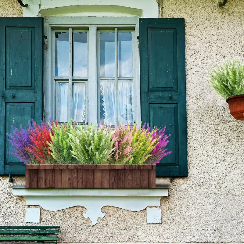 10/50 plantes sans vase