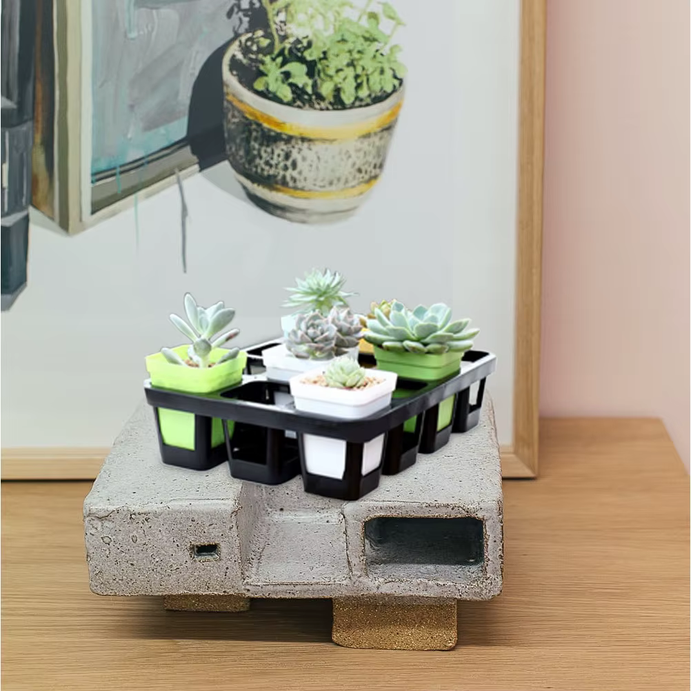 Plateau de Germination pour plantes de jardinage