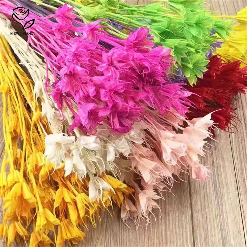 Véritables branches de fleurs d'anis étoilé séchées fraîches