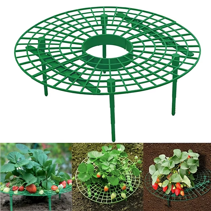 Support de plantation de fraises vertes