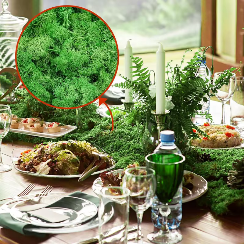 Nouvelles plantes vertes artificielles vie éternelle mousse herbe bricolage