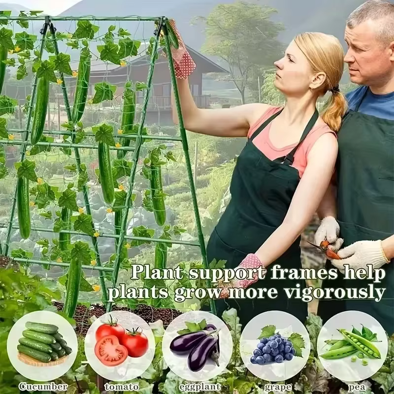 Nouveau treillis de support robuste pour plantes 2026 – 3 traverses horizontales et 6
