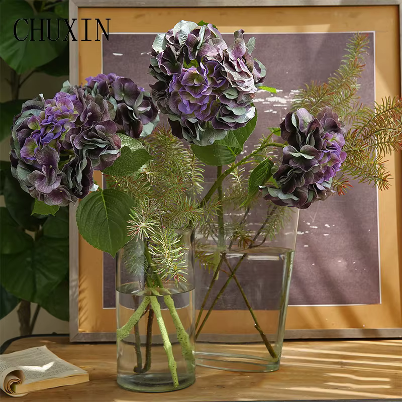 Grandes fleurs d'hortensia hydratantes au toucher