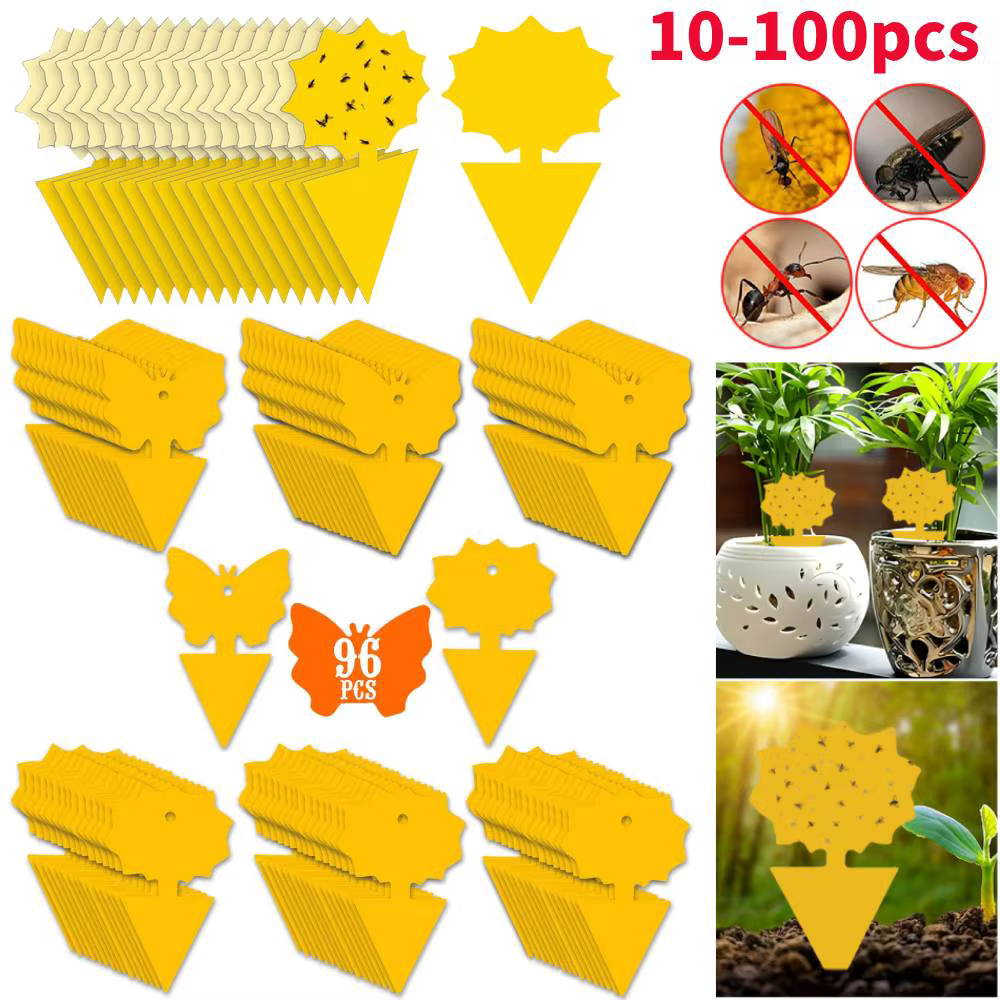 10-100 pièces champignon Gnat tueur Non toxique double face