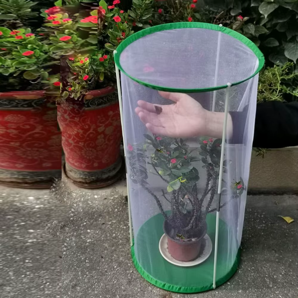 Mini serre coupe-vent en PVC transparent pour plante