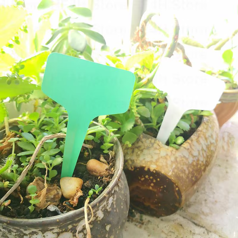 Étiquette en plastique pour fleurs de jardin
