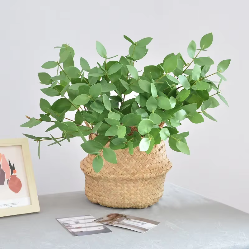 Feuilles d'eucalyptus artificielles pour la décoration de la maison