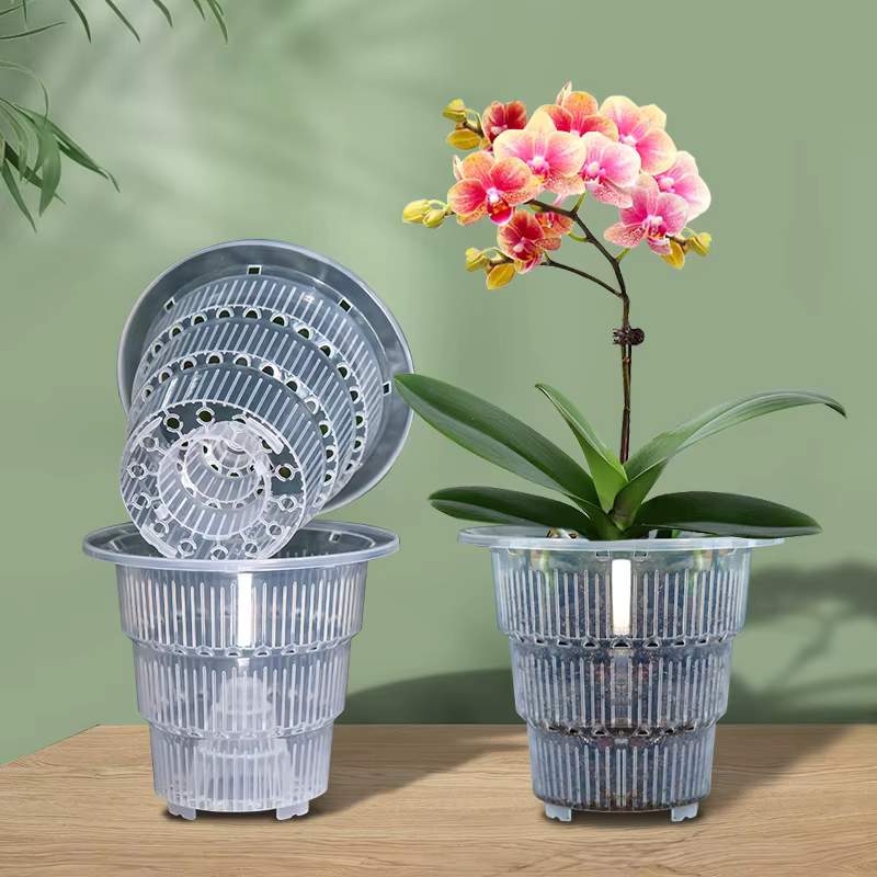 Pots d'orchidées transparents avec colonne d'air