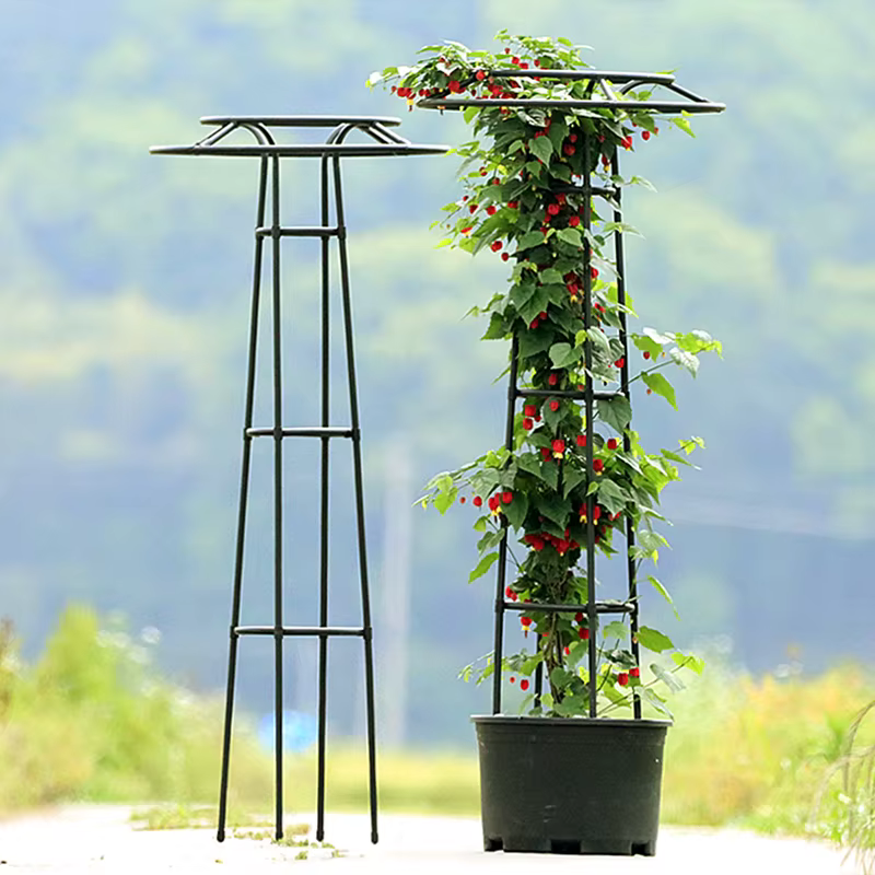 Support de plantes grimpantes en treillis de fleurs de Style parapluie