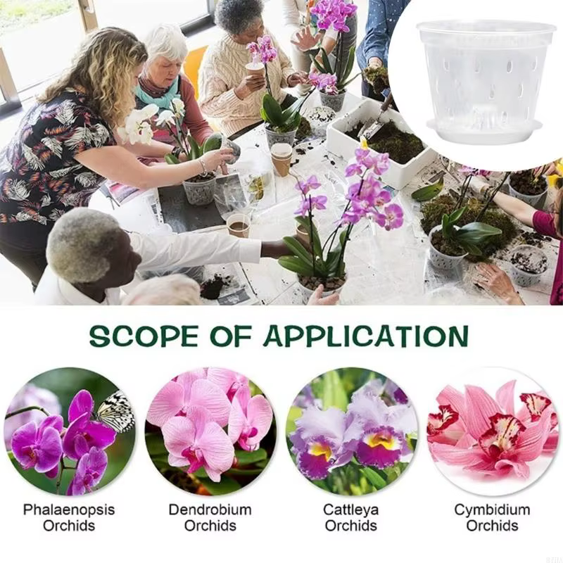 Paquet 5 porte-fleurs en plastique visibles avec trous Drainage pour une forte croissance entretien facile des 87HA