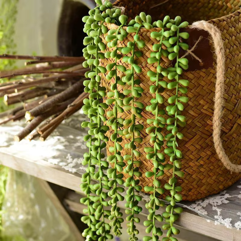 Plantes succulentes artificielles suspendues
