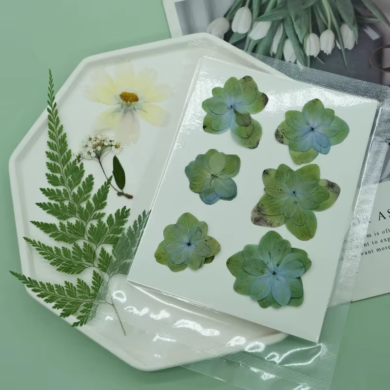 6 pièces, sac de fleurs sèches naturelles