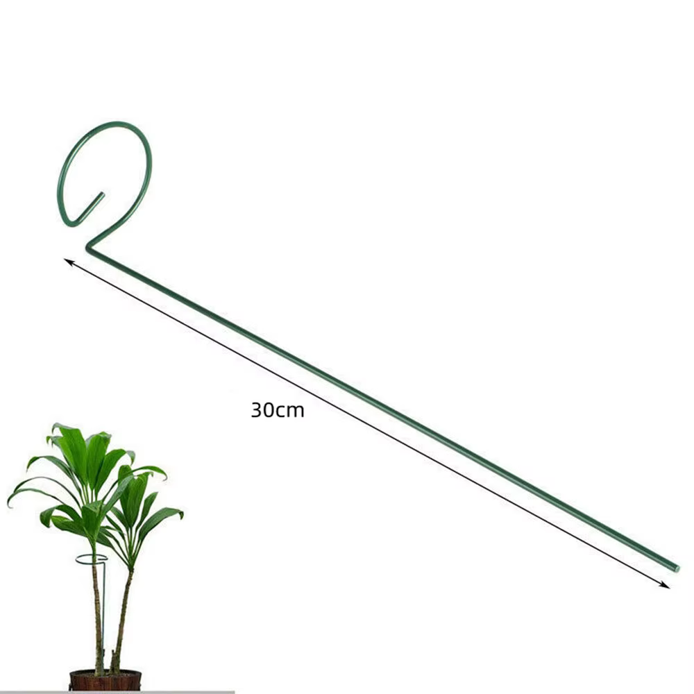 Bâtons de Support pour plantes grimpantes en pot