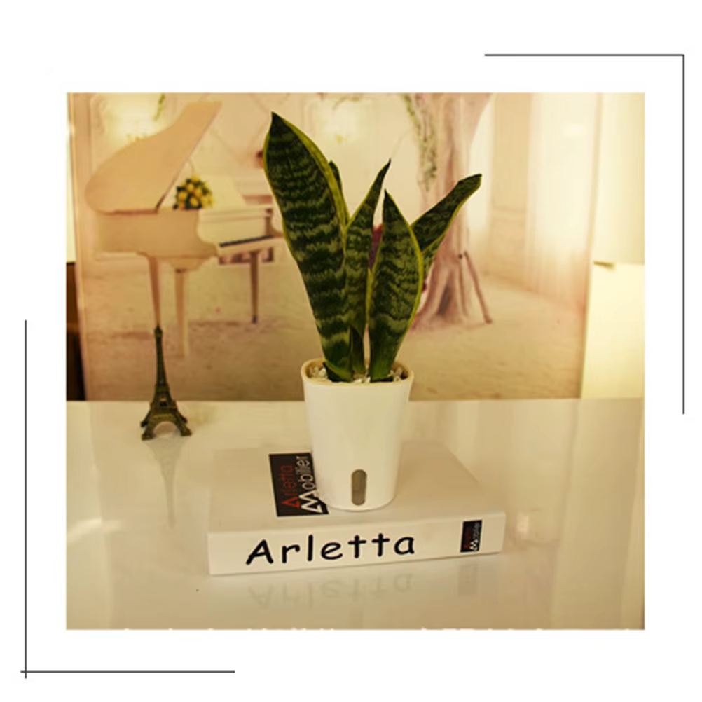 Jardinière auto-arrosante 23 cm
