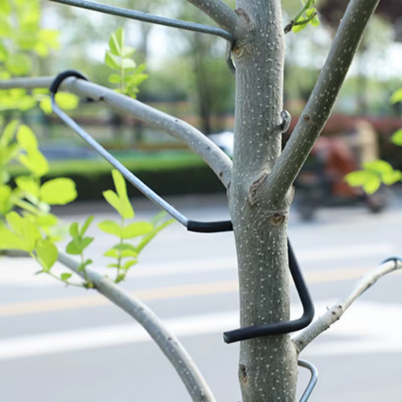 10 pièces Support de Branches d'arbre fruitier