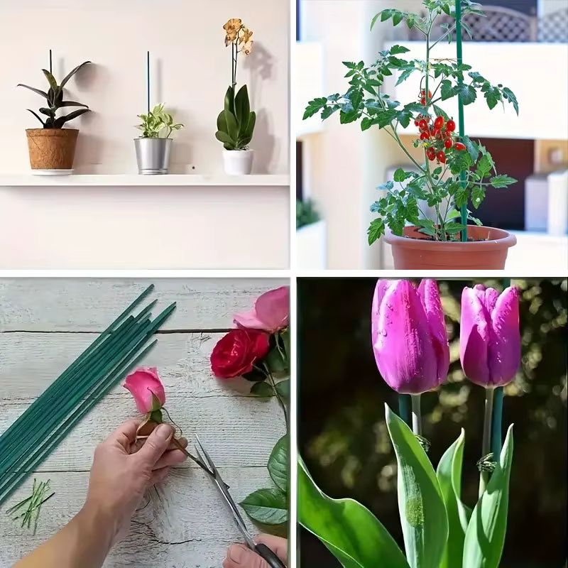 Piquets de Support de plantes en bambou polyvalents