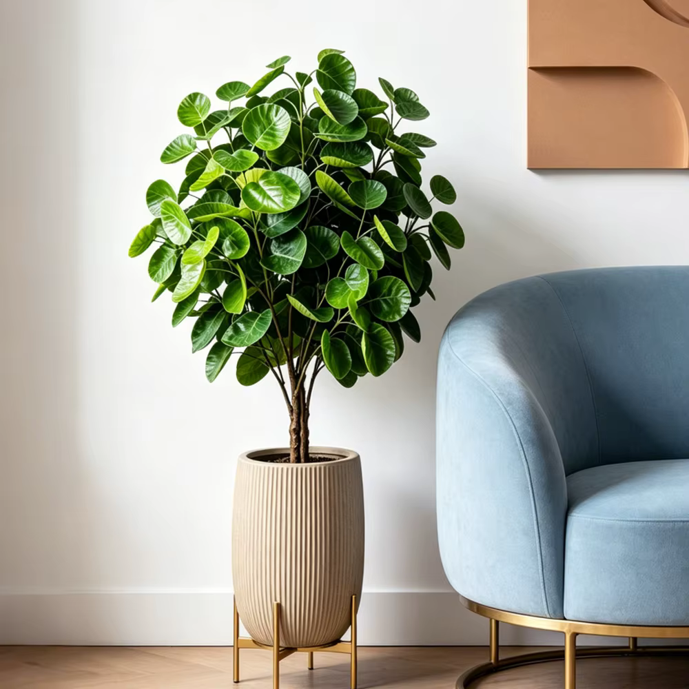 Plantes artificielles Ficus 45-95cm