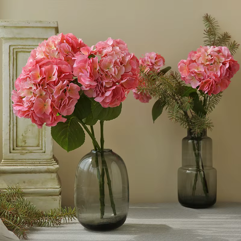 Grandes fleurs d'hortensia hydratantes au toucher