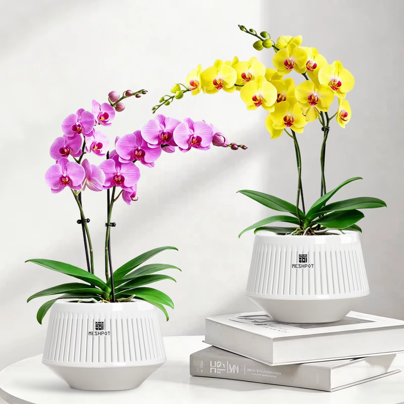 Pot à orchidées Meshpot avec trous