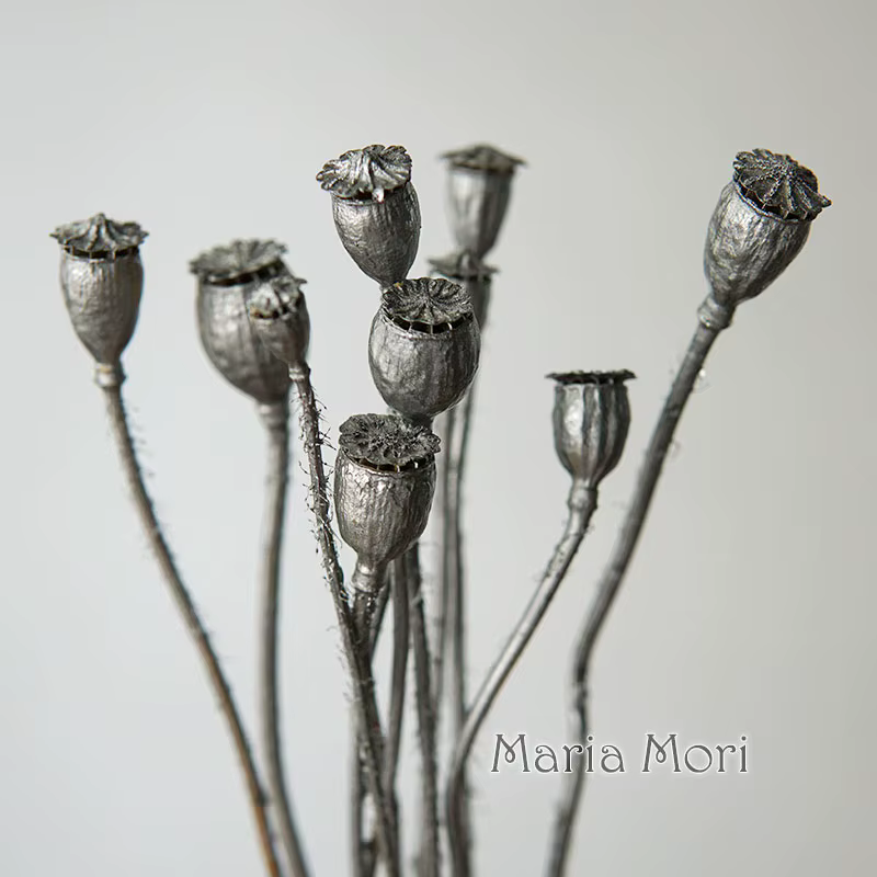 10 pièces/fleurs conservées maïs coquelicot fruits décoration de la maison bricolage matériel colle cristal bougies faites à la main fleurs époxy or argent