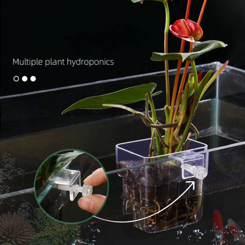Panier de plantation hydroponique pour Aquarium de poissons