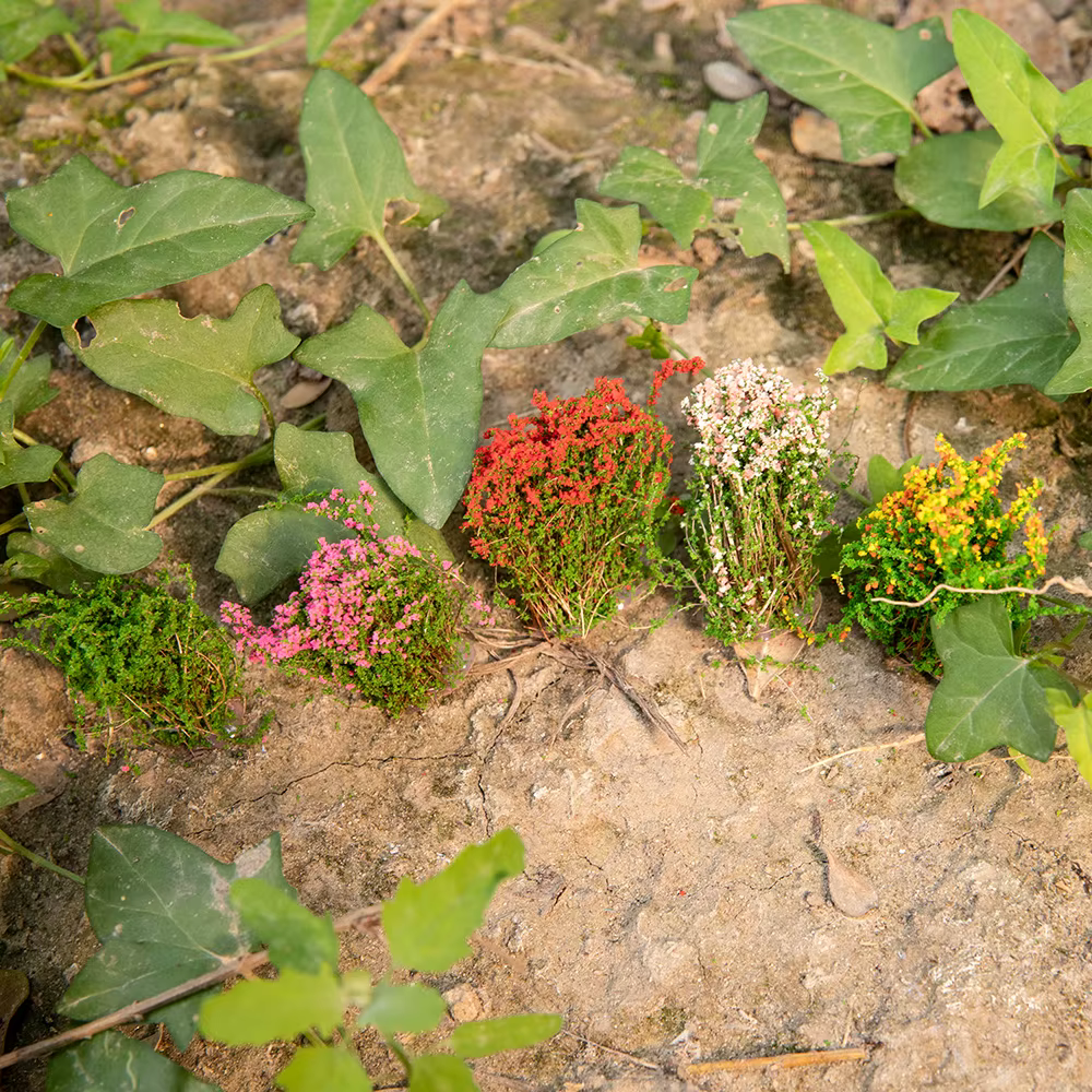 Plantes artificielles miniatures