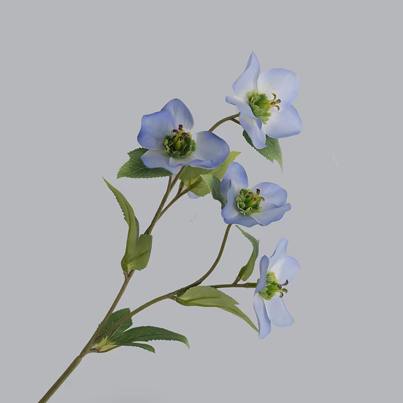 Branche de fleur de cloche de Noël