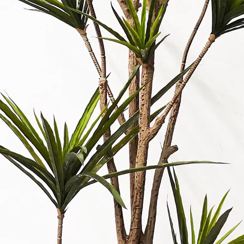 Plantes artificielles Dracaena