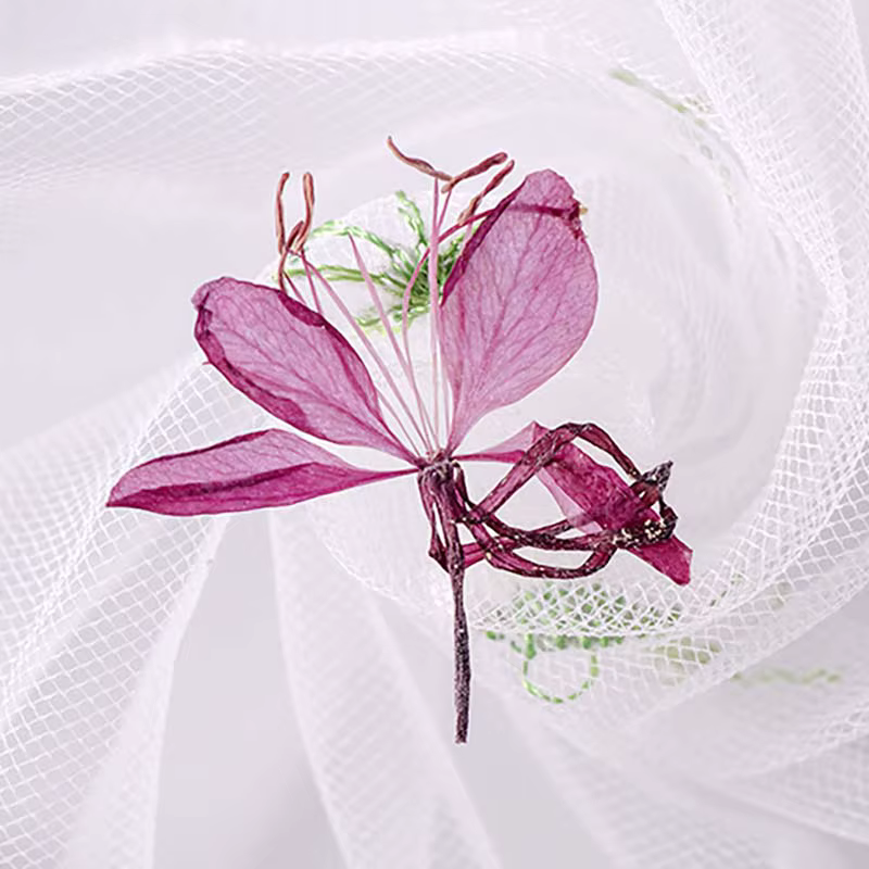 Véritables fleurs de Murcia séchées naturelles