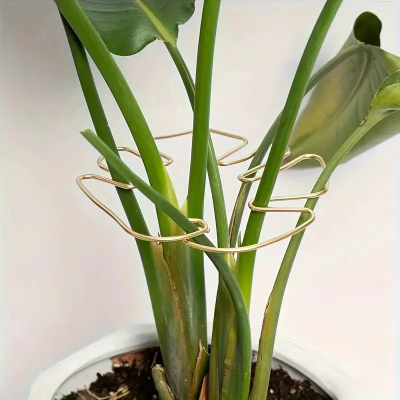 Support de plante suspendu avec crochets en fer