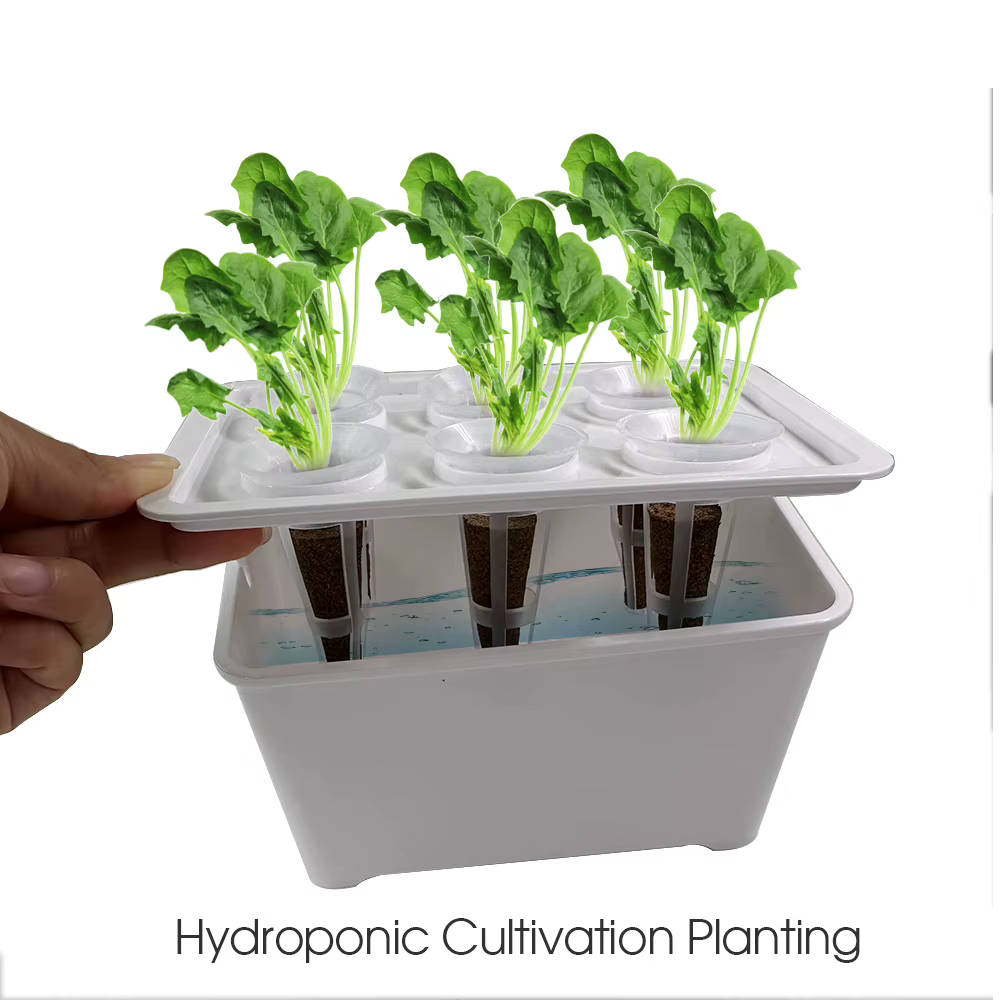 Système de culture hydroponique blanc/noir, boîte hydroponique, Pot de pépinière à 6 trous pour plantes d'intérieur de jardin, jardinière de culture végétale sans sol