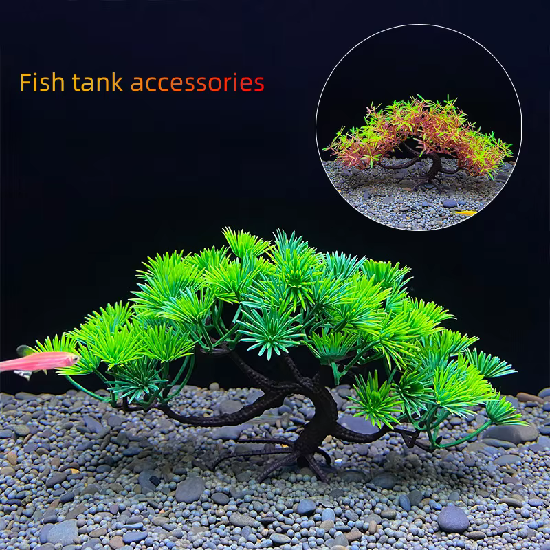 Arbre bonsaï d'aquarium