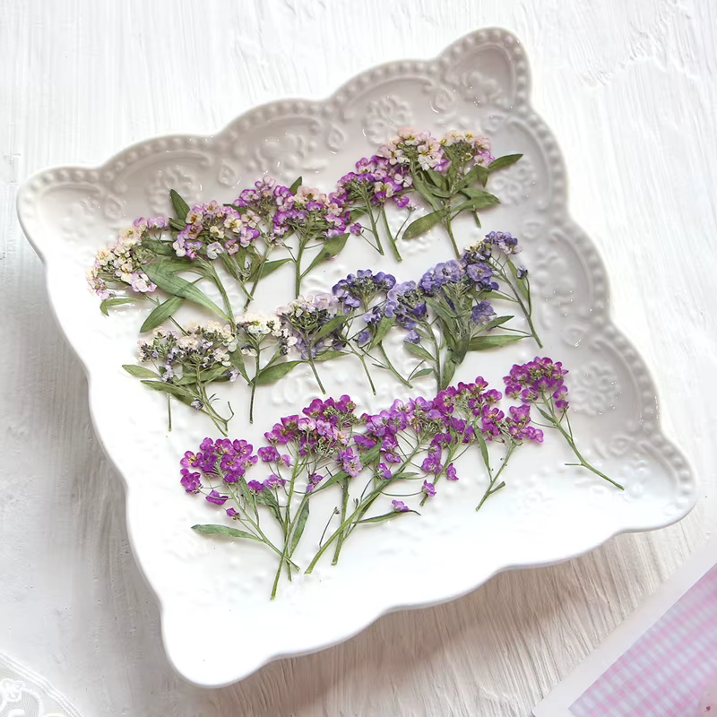 Mini fleur pressée parfumée en forme de boule de neige