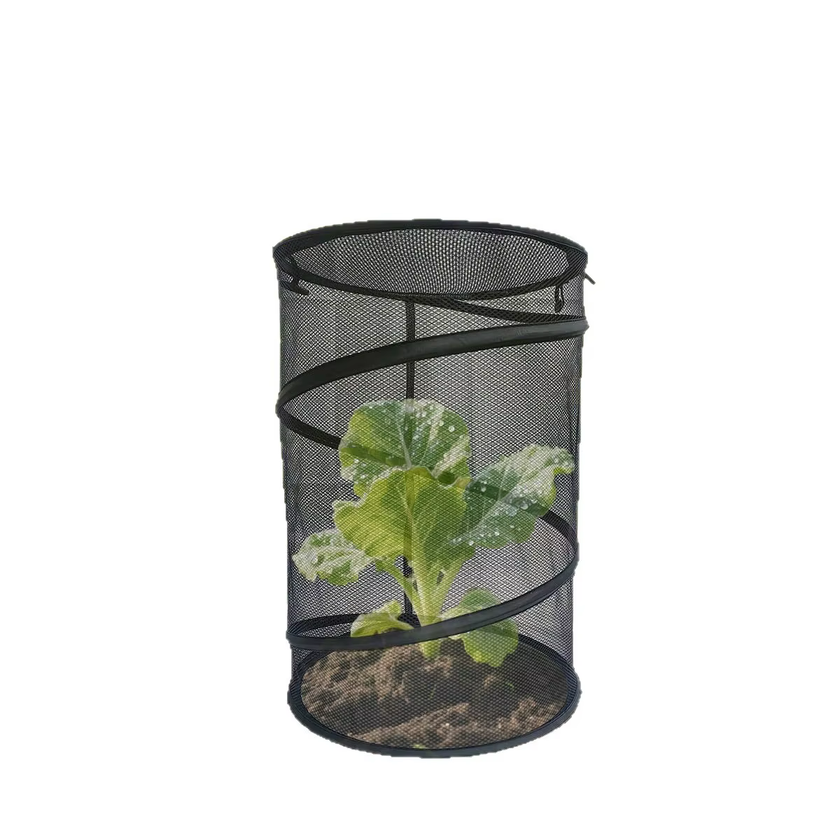 Filet de protection anti-insectes pour plantes