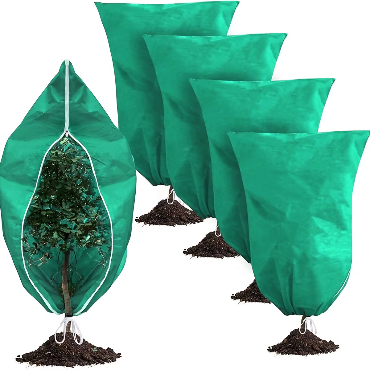Couverture de Protection des plantes d'hiver