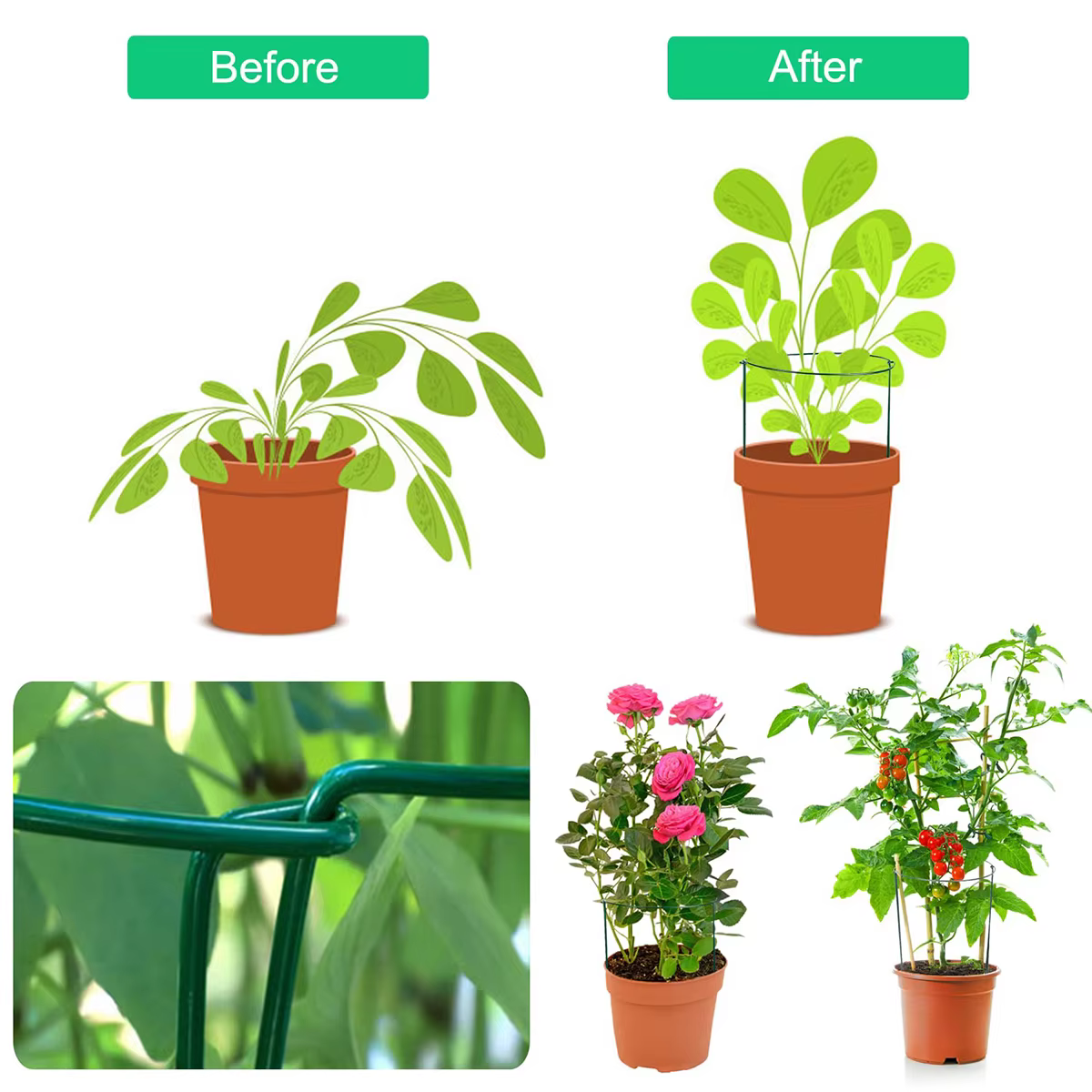 Piquets de Support pour plantes en métal