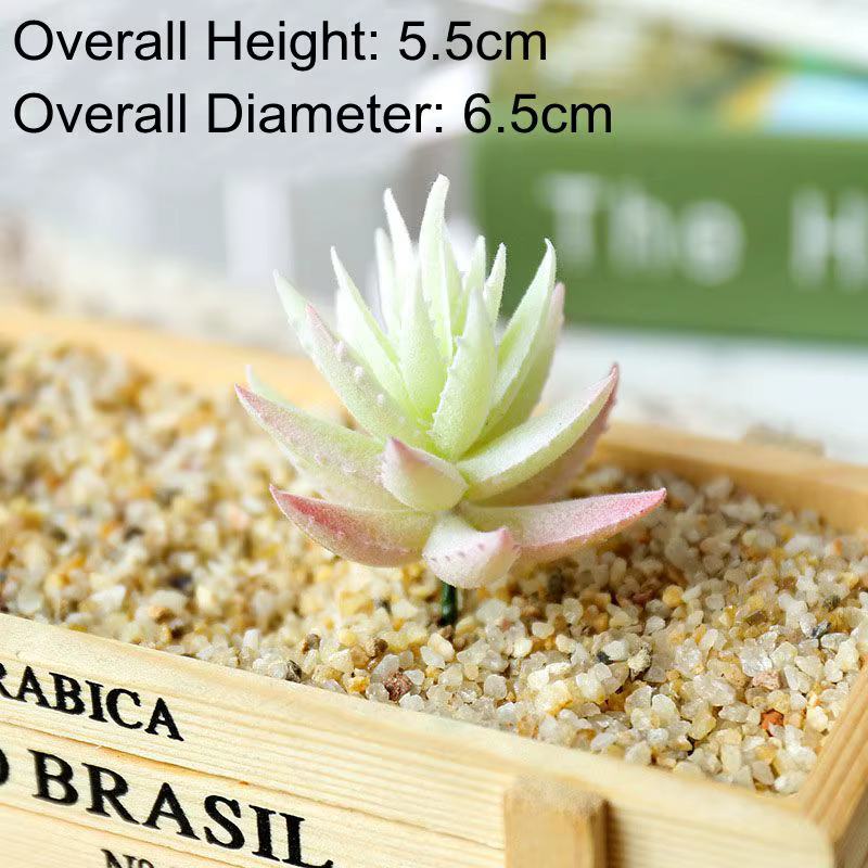 Mini plantes succulentes artificielles | Hauteur = 5.5cm diamètre = 6.5cm
