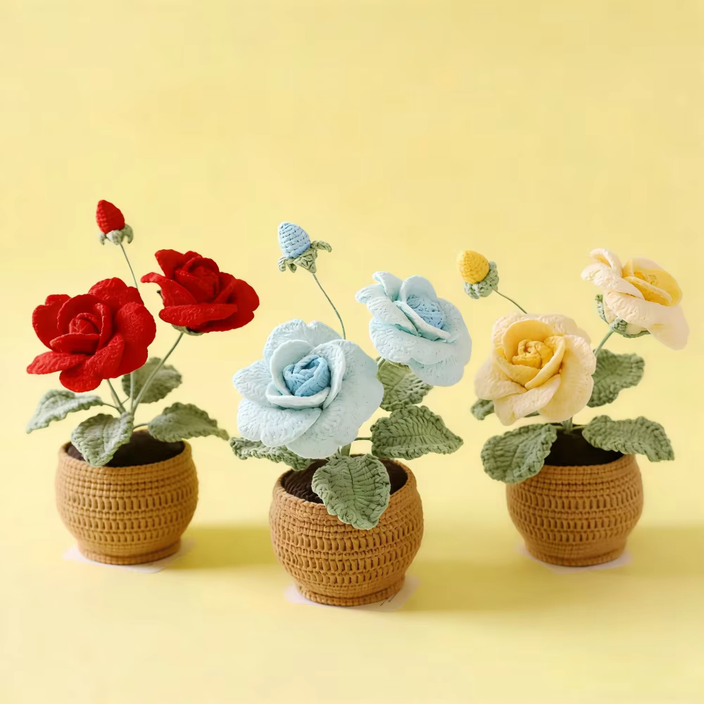 Plante en pot de roses à quatre feuilles et à deux têtes