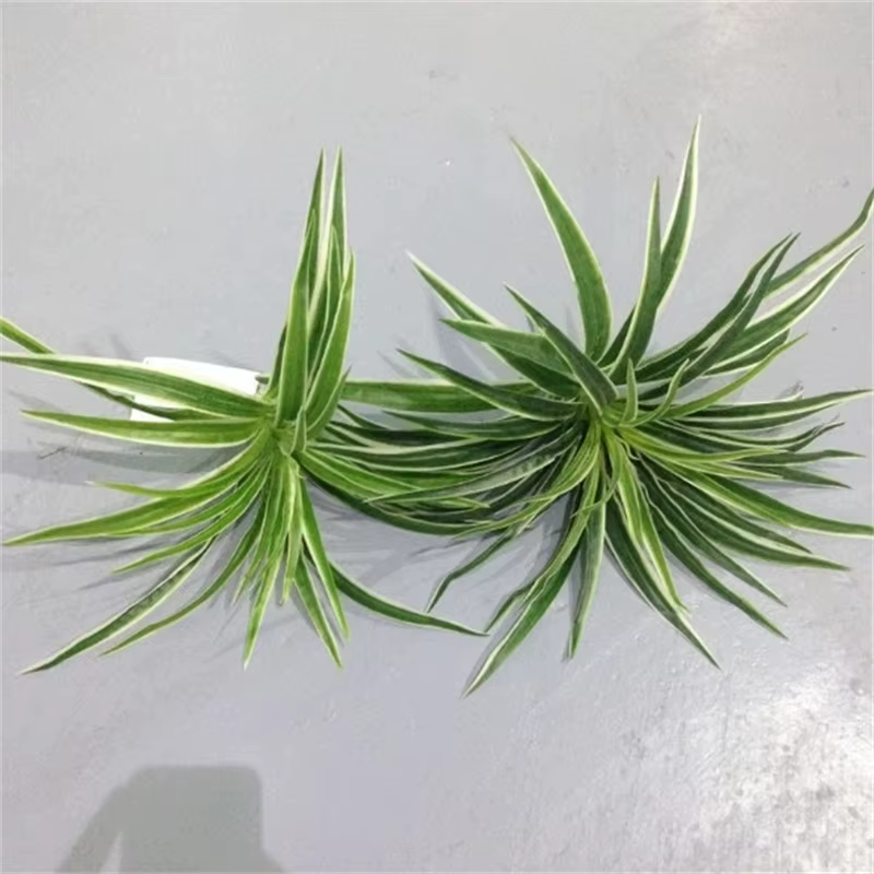 Branche artificielle de Chlorophytum Comosum