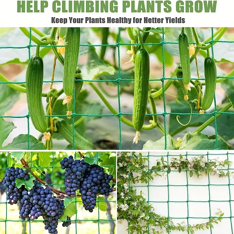 Pergolas de treillis pour plantes