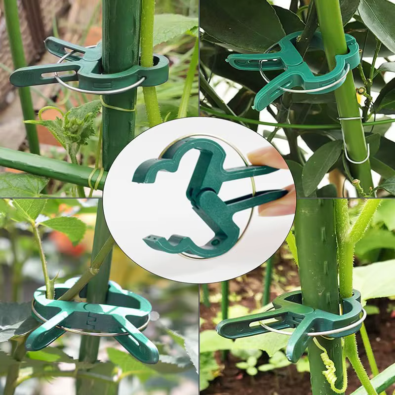 Clips fixes pour plantes