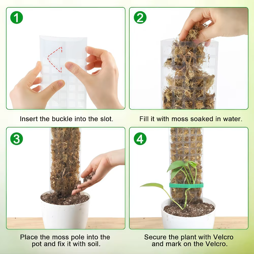 Support en plastique pour plantes grimpantes d'intérieur